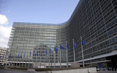 The European Commission’s Investment Agenda