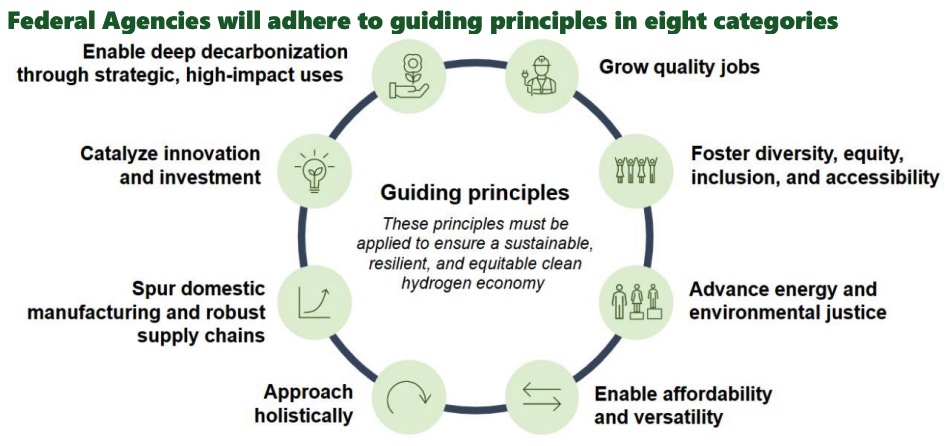 Graphic describing the eight categories of the guiding principles for federal agencies.